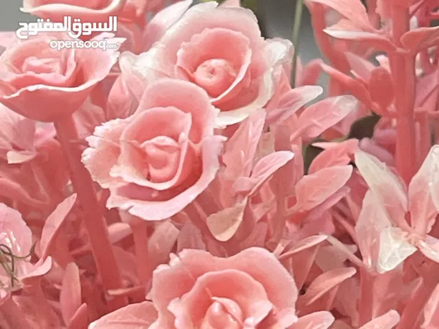 110 m2 1 Bedroom Apartments for Rent in Ramallah and Al-Bireh Al-Saa'a Square