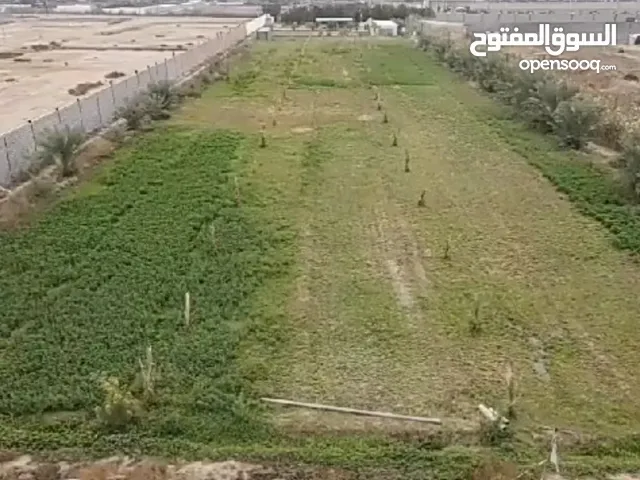 للبيع مزرعة 5 دونم منطقة الدوانم بسعر مناسب