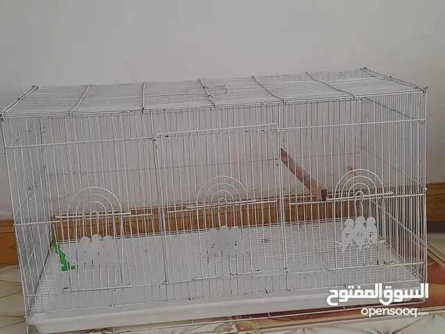 عندي قفص ابو طيره قفص كلش نضيف اريد ارواسه بقفص مال كاسكو