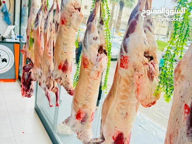 قصاب لذبح الاضاحي