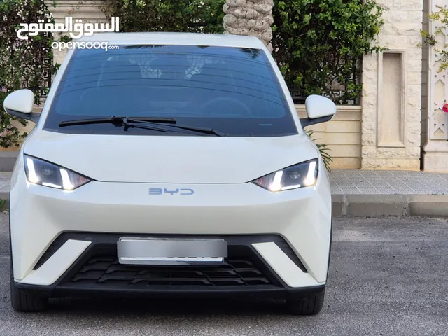 بي واي دي سيجال للبيع موديل 2024