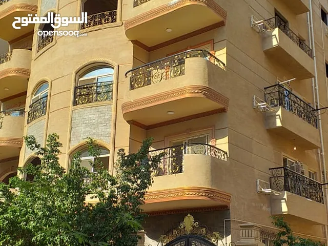 للإيجار شقة  القاهرة الجديدة - المستثمرين الجنوبية - كمبوند حدائق الأندلس  - شارع الجامعة الأمريكية