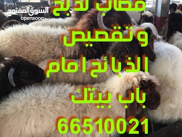 قصاب جزار متنقل تحت الطلب