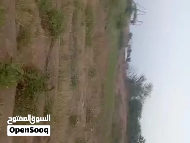 Farm Land for Sale in Lahij Other