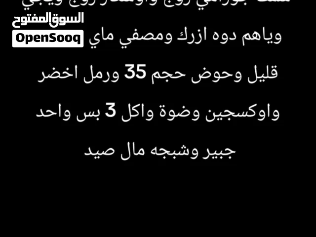 سمك جورامي أوسكار ويجي وياهم دواء الأزرك ومصفي ماي بس بيه قليل وحوض حجم 35 ورمل اخضر واوكسجين وضوه