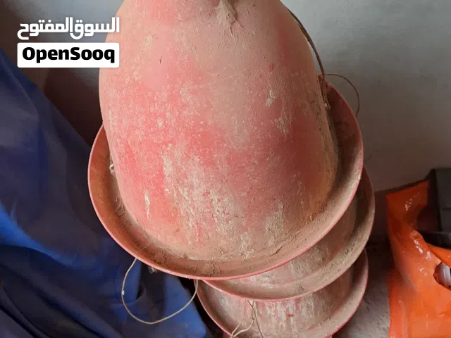 شرابات دجاج ايطاليه