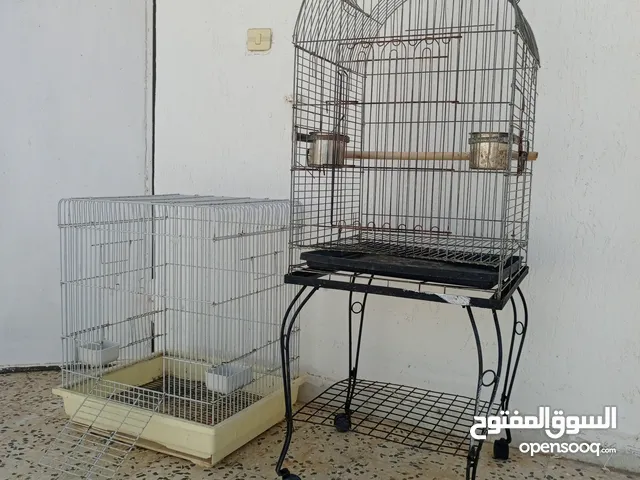 قفصين ببغاء للبيع