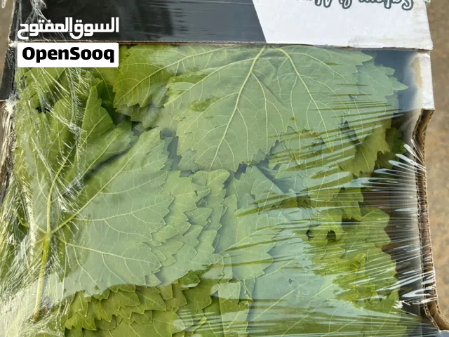 دوالي بلدي في عمان نخب أول ناعم وطري وحامض  والمعاينة قبل الدفع  الكيلو 4 .توصيل دينار.