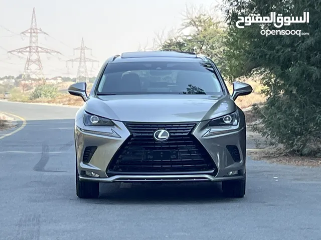 Lexus NX300 2020
