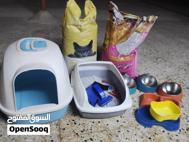 مستلزمات قطط