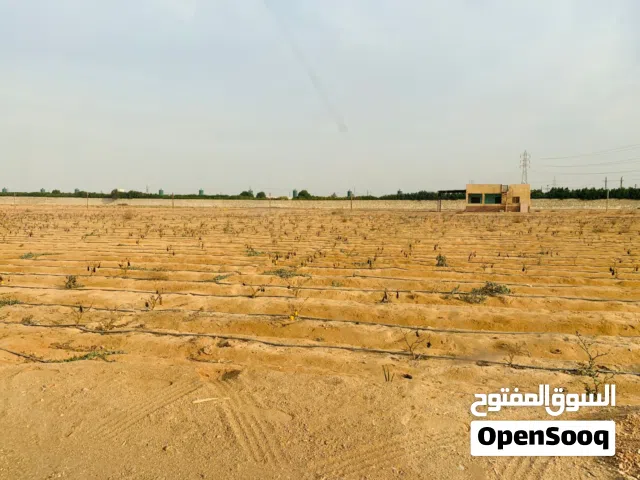 مزرعه للبيع