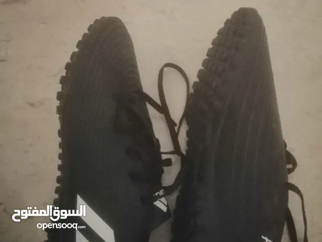 Adidas Sport Shoes in Northern Governorate