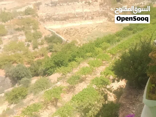 قطعة ارض للبيع صوريف