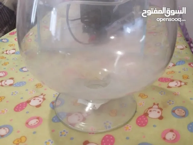 fish bowl small size