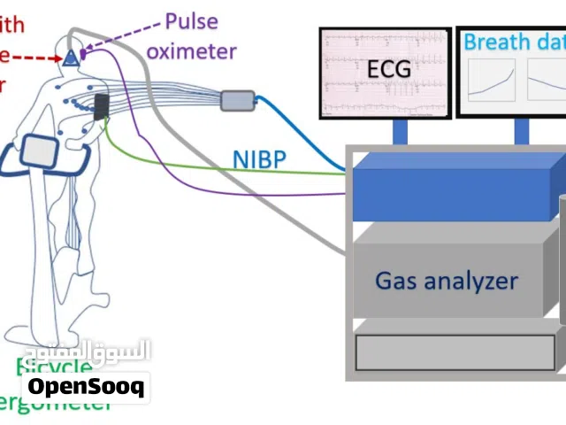 مطلوب ممول لمشروع قياس قدره الرياضيين... الوحيد في اليمن