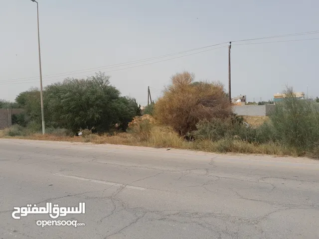 ارض للبيع - طمينه