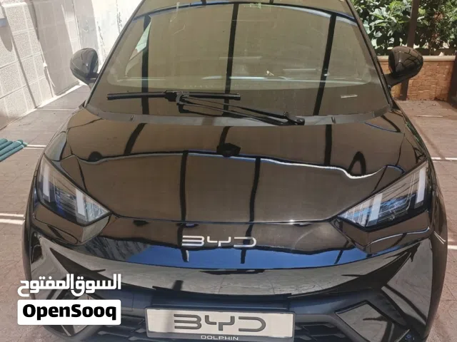 2024 BYD Seagull