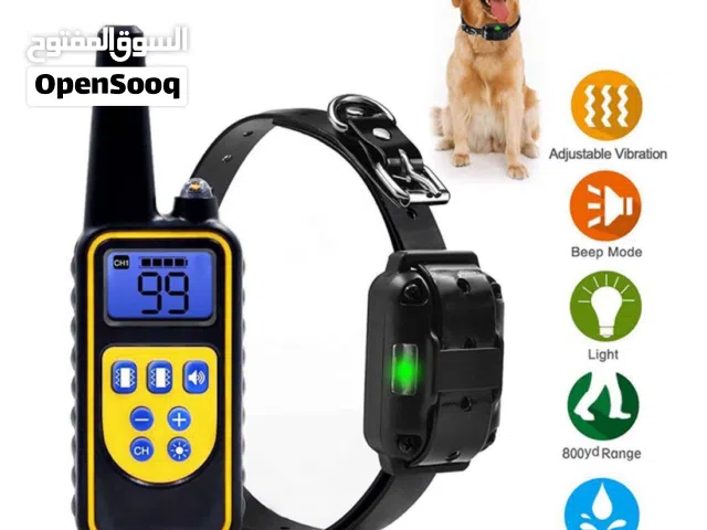 طوق تدريب كلاب