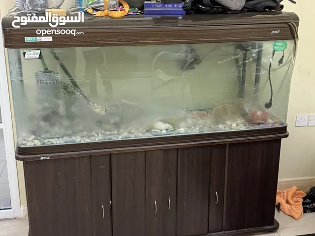 حوض اسماك كبير