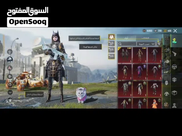 Pubg Accounts and Characters for Sale in Basra