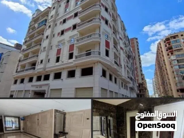 145 m2 3 Bedrooms Apartments for Sale in Alexandria Seyouf