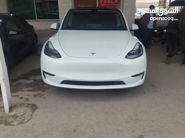 Used Tesla Model Y in Zarqa