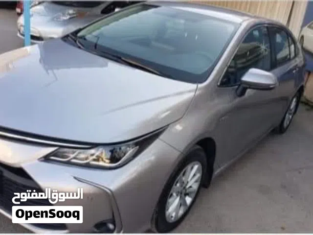 2019 تويوتا كورولا Standard