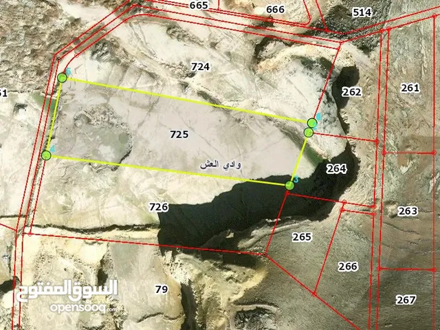 ارض 13 دونم مفروزة للاستثمار في وادي العش