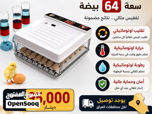 فقساية 64 بيضة