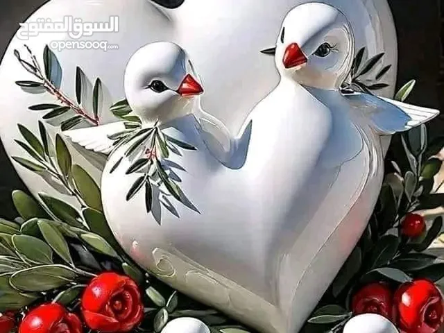 كهربائي على المعاش يرغب في عمل صيانه