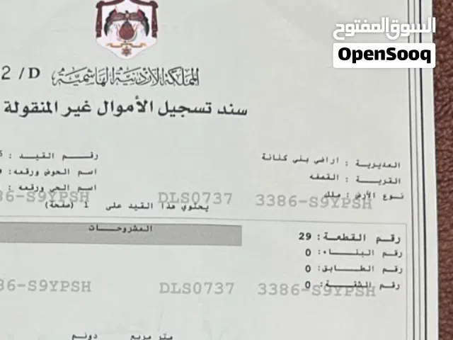 مزرعة زيتون للبيع