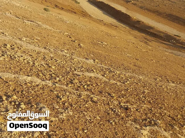 ارض على طلة رصيفه