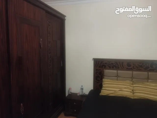 60 m2 Studio Apartments for Rent in Cairo New Cairo