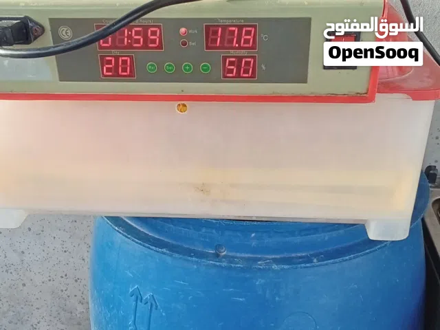 فقاسة دجاج أمورهاةعشرات