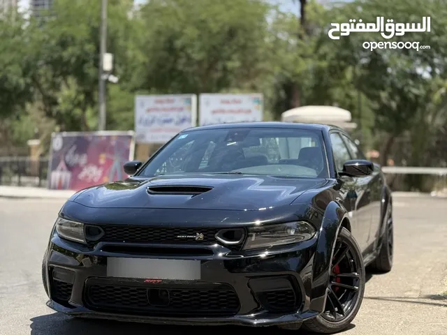 جارجر سكات باك وايد بدي 2023