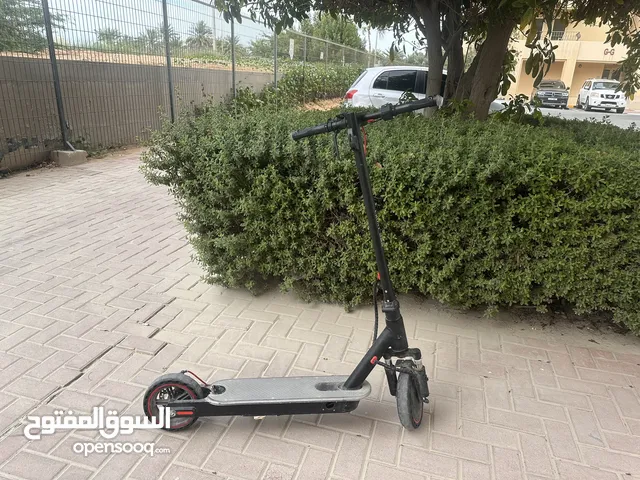 Crony electric scooter