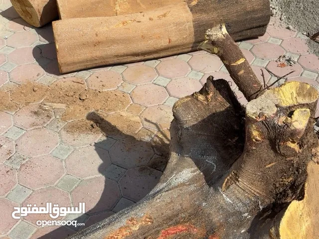 حطب للبيع كبير