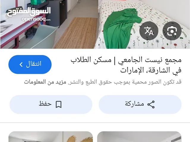 شقق طلابية