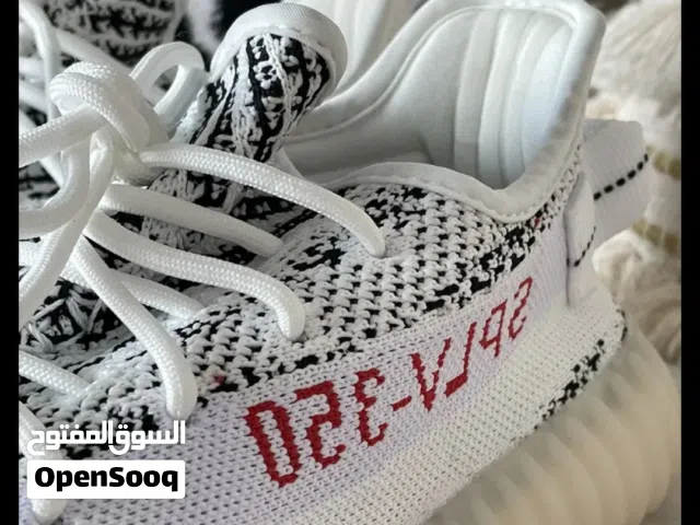 حذاء رياضي جديد ماركة ايزي