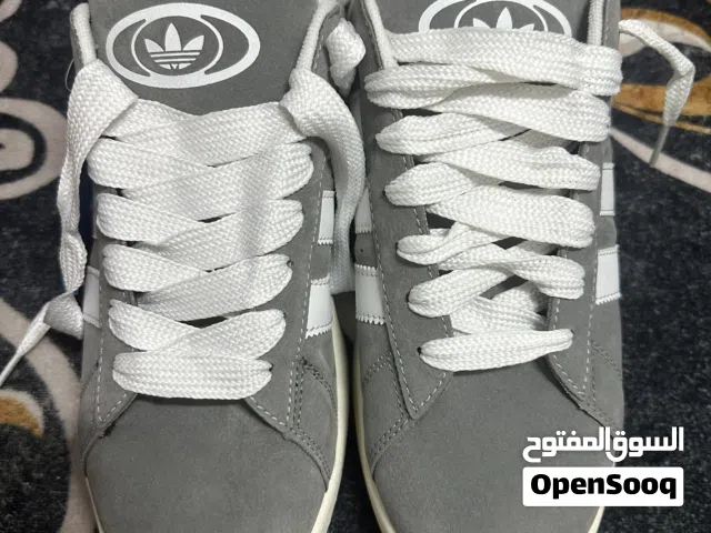 كابوس سكني جديد
