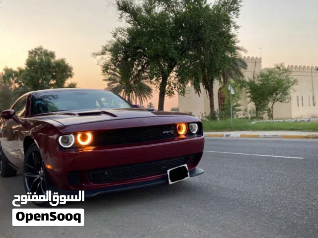 Used Dodge Challenger in Baghdad
