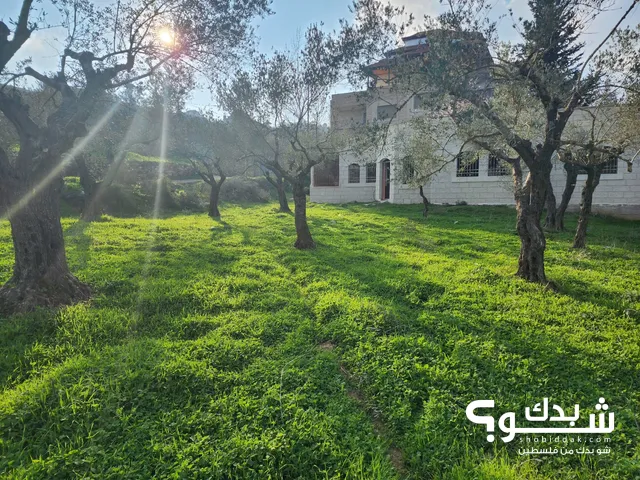 Residential Land for Sale in Ramallah and Al-Bireh Al Baloue