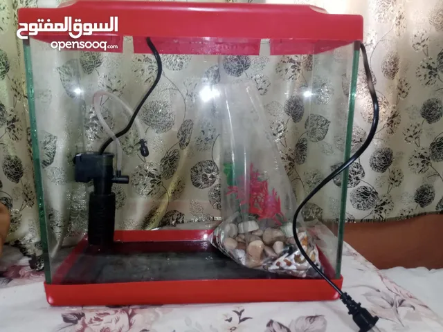 حوض سمك جميل