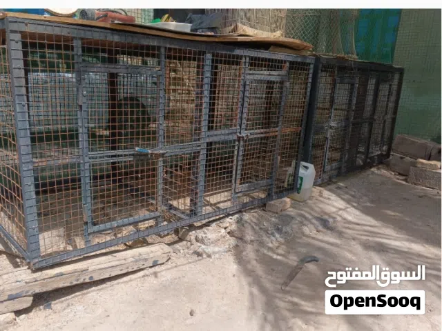 اقفاص  4خانات كل قطعه خانتين