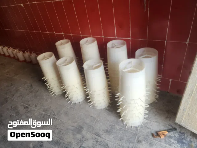 علافات اكل دواجن
