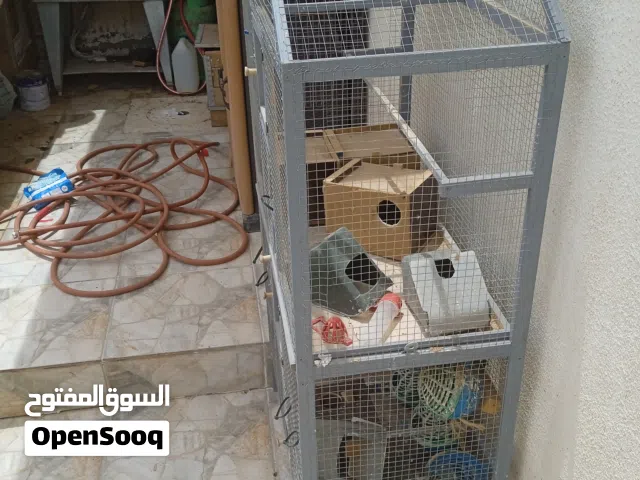 مطير طابقين للبيع