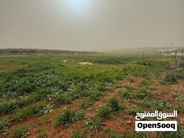 Residential Land for Sale in Ramtha Romtha