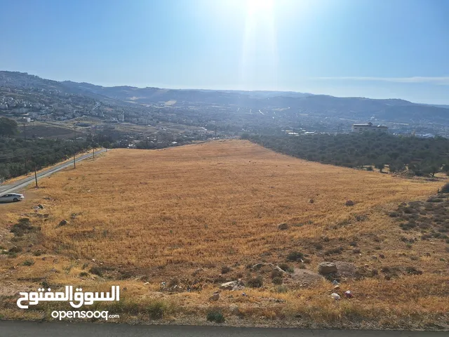 Residential Land for Sale in Amman Safut