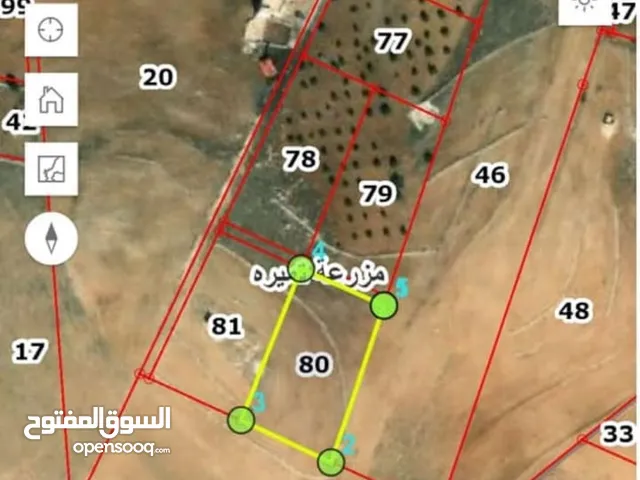 Farm Land for Sale in Irbid An-Nuayyimah