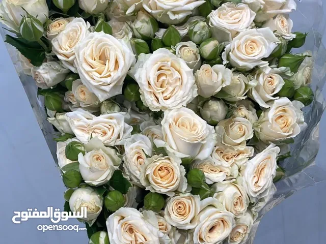سبراي روز طبيعي  Natural Spray Roses